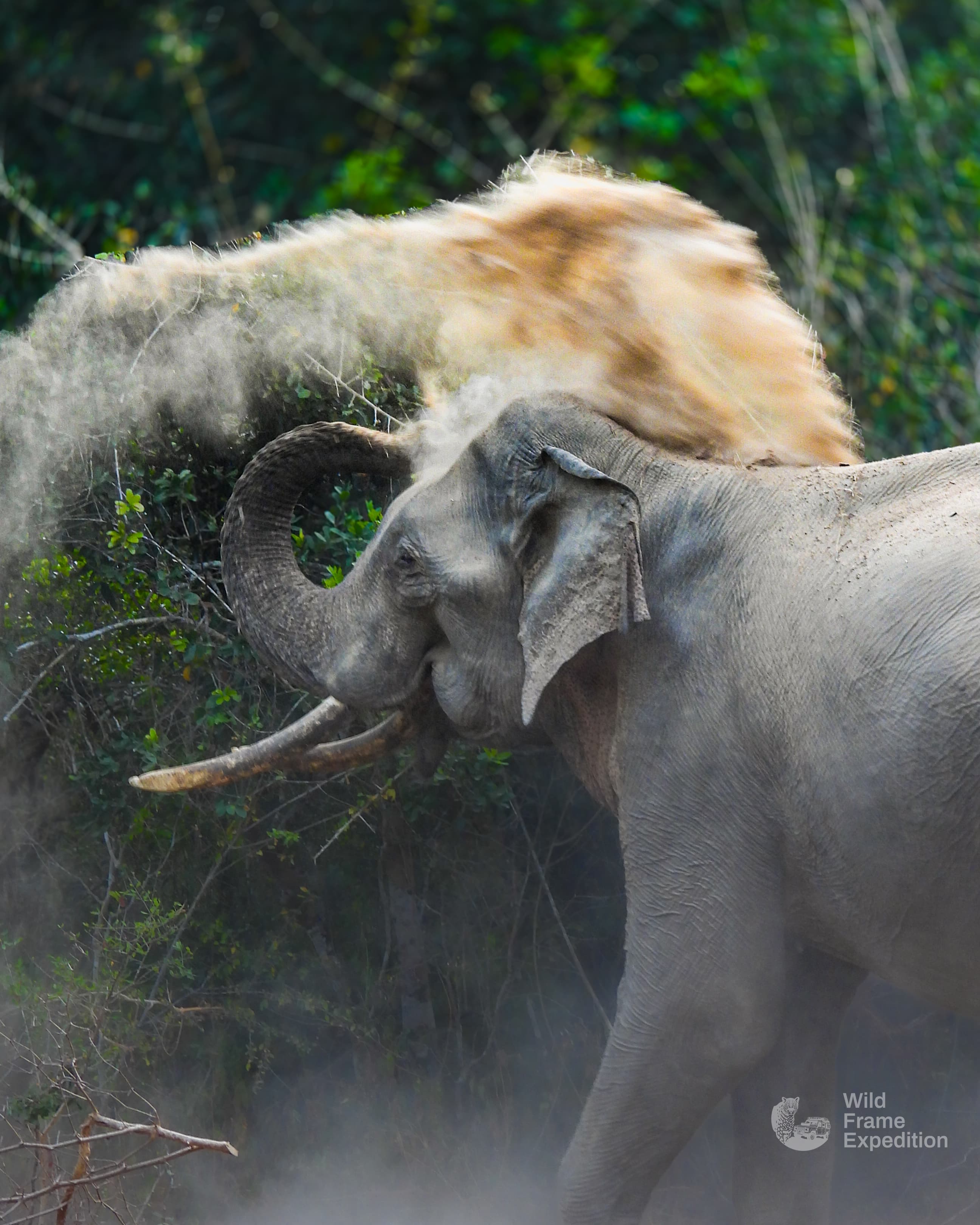 Yala Safari Full Day Package