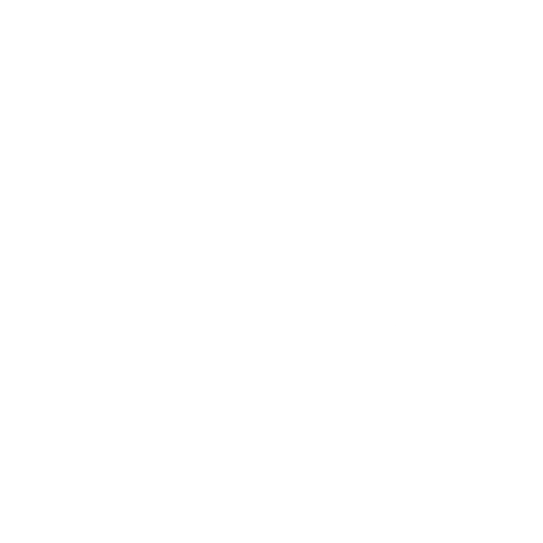 Wild Frame Expedition Logo