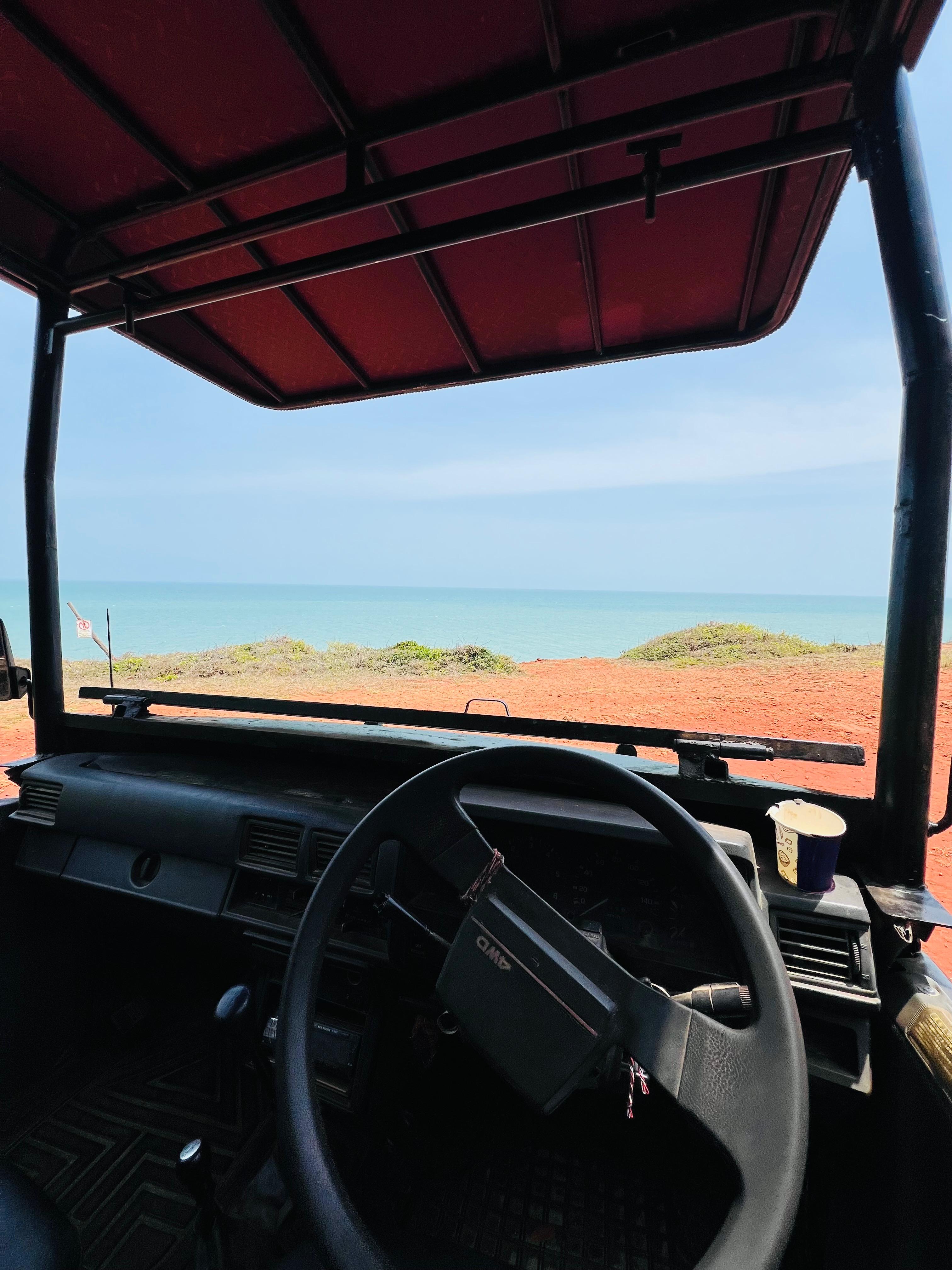 Safari wildlife photography