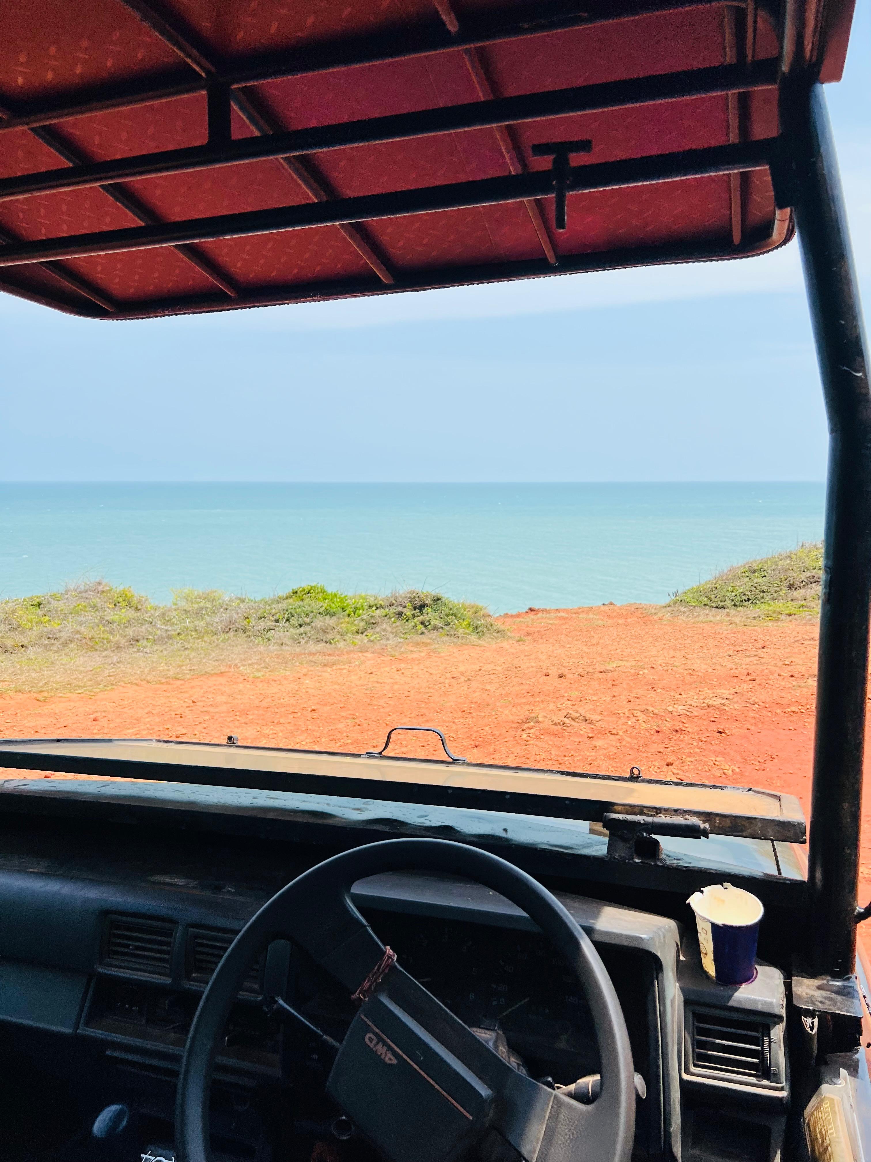 Safari wildlife photography