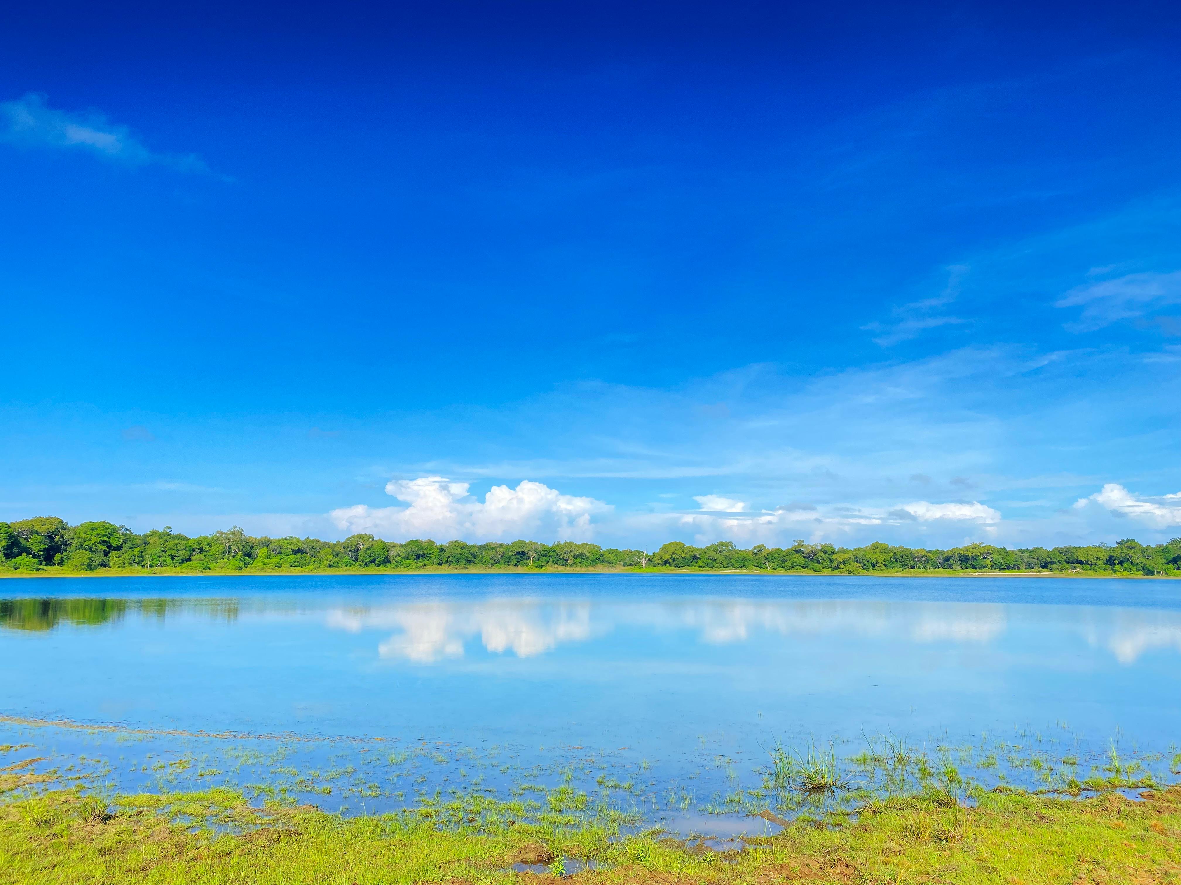 Safari wildlife photography