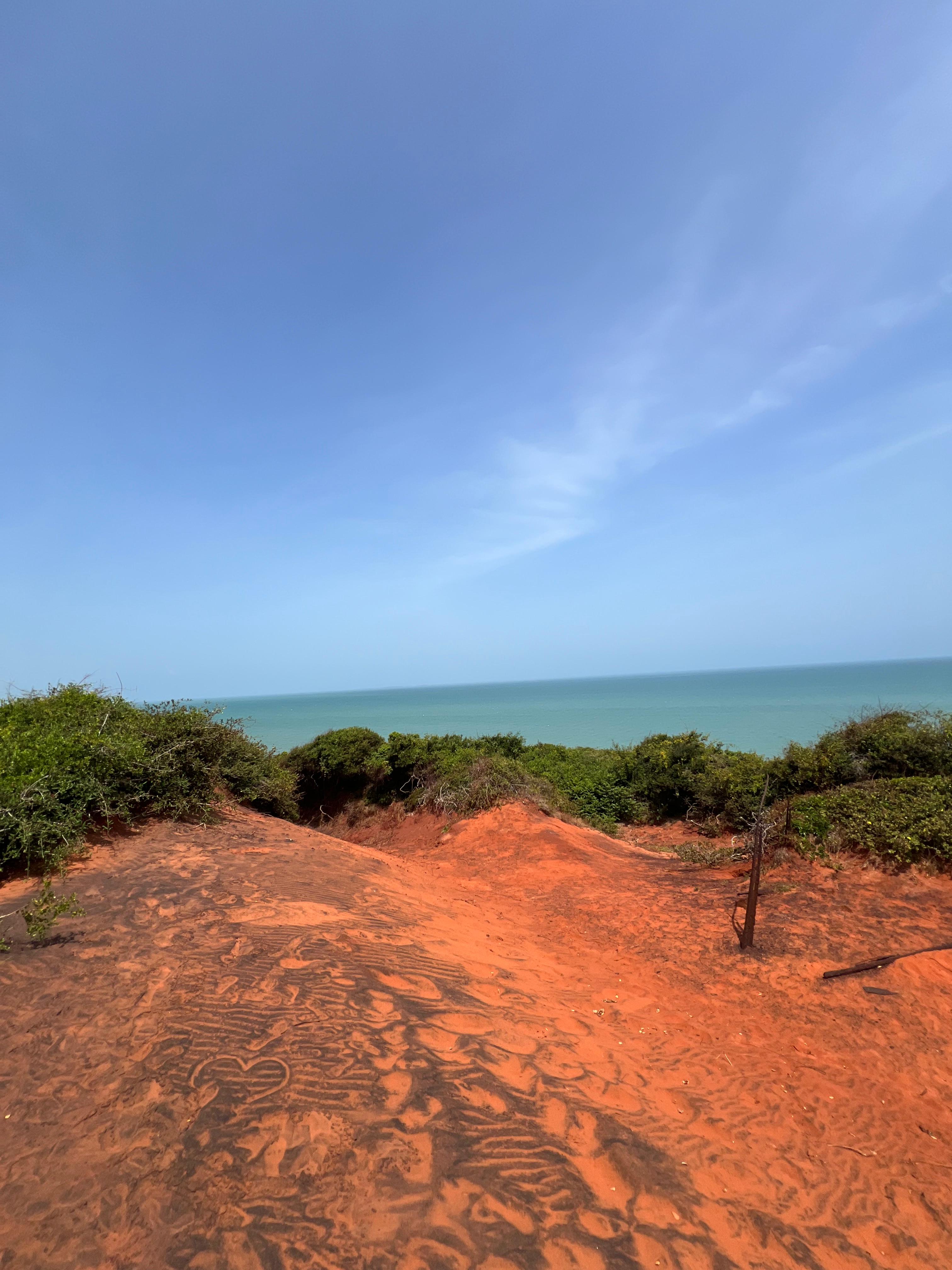 Safari wildlife photography