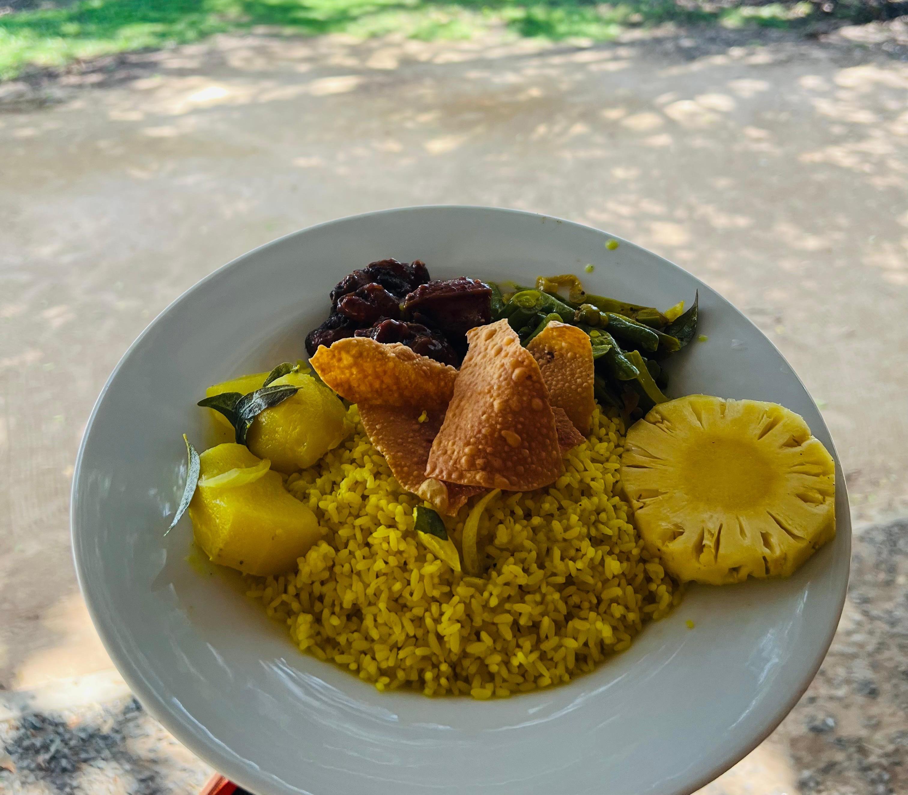 Safari wildlife photography