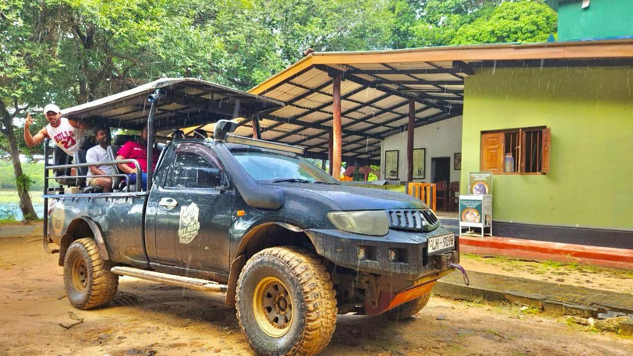 Safari wildlife photography