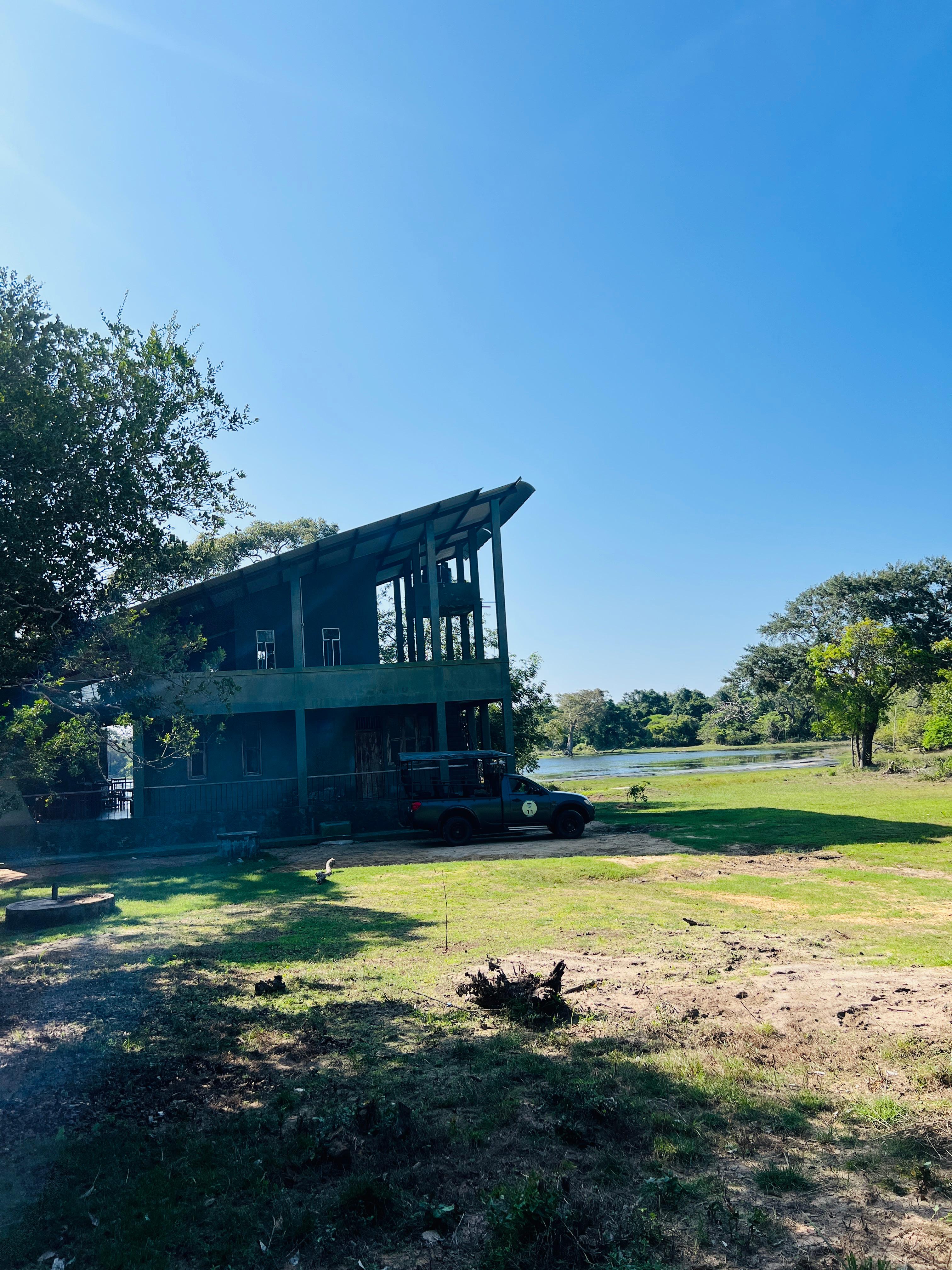 Safari wildlife photography