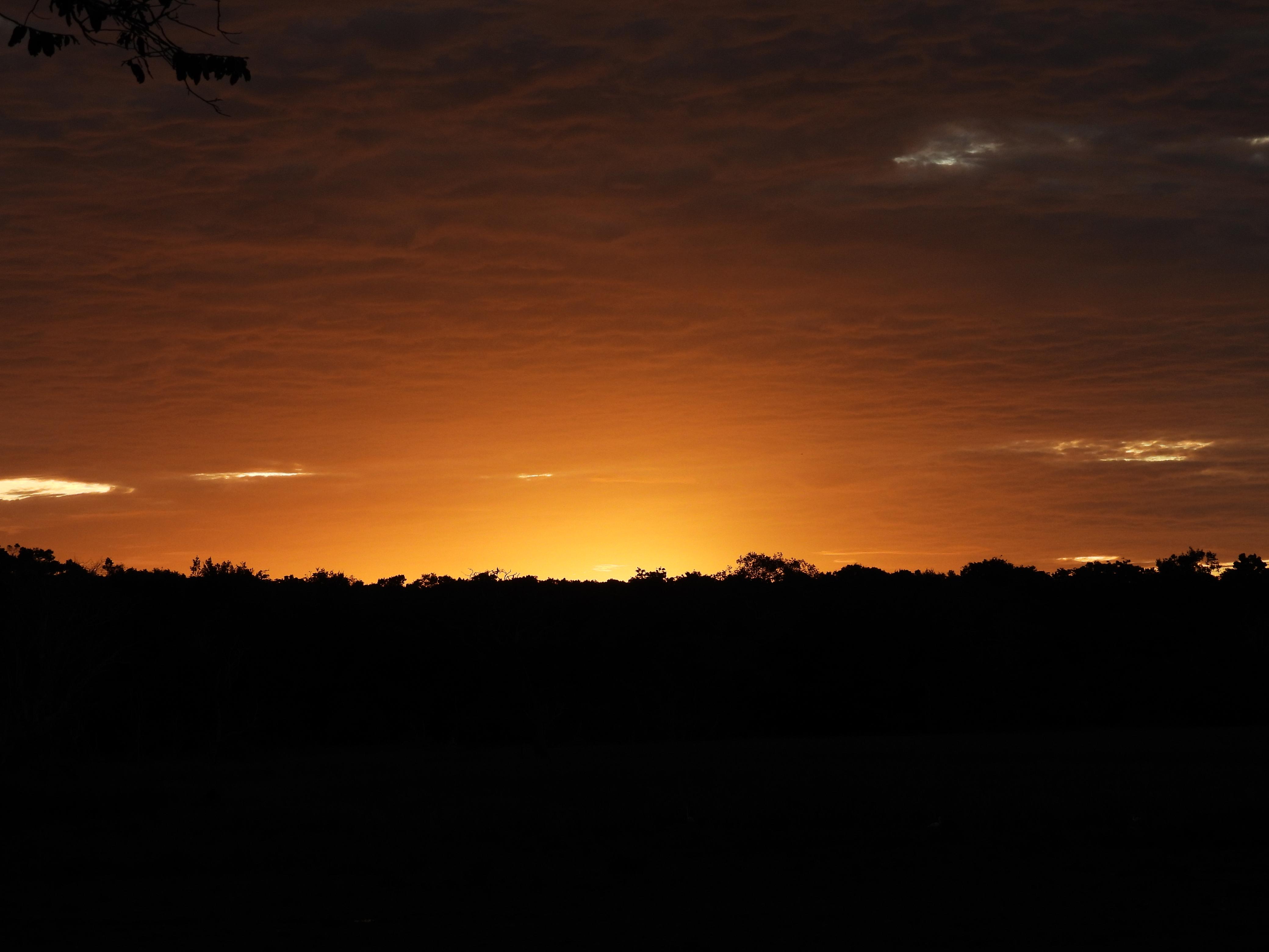 Safari wildlife photography